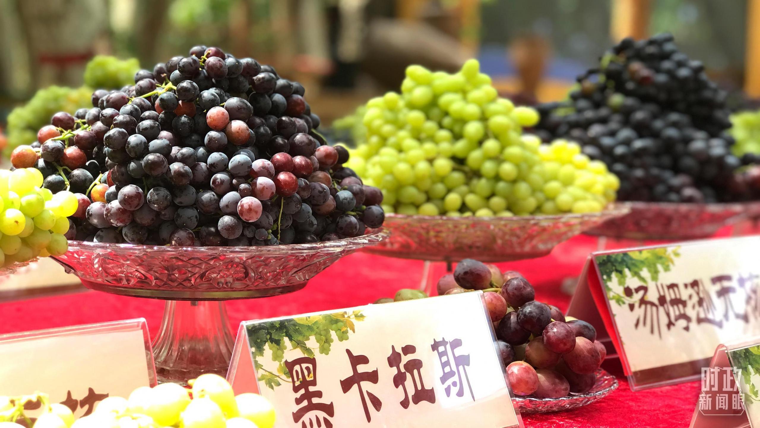 时政新闻眼丨从四个关键词,看习近平总书记新疆之行