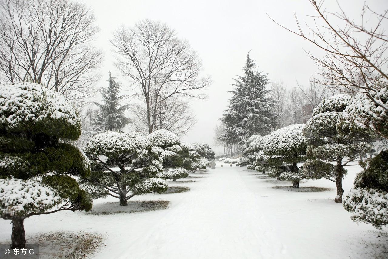 中国最冷的地方是什么地方(中国最冷的地方是什么地方排名)