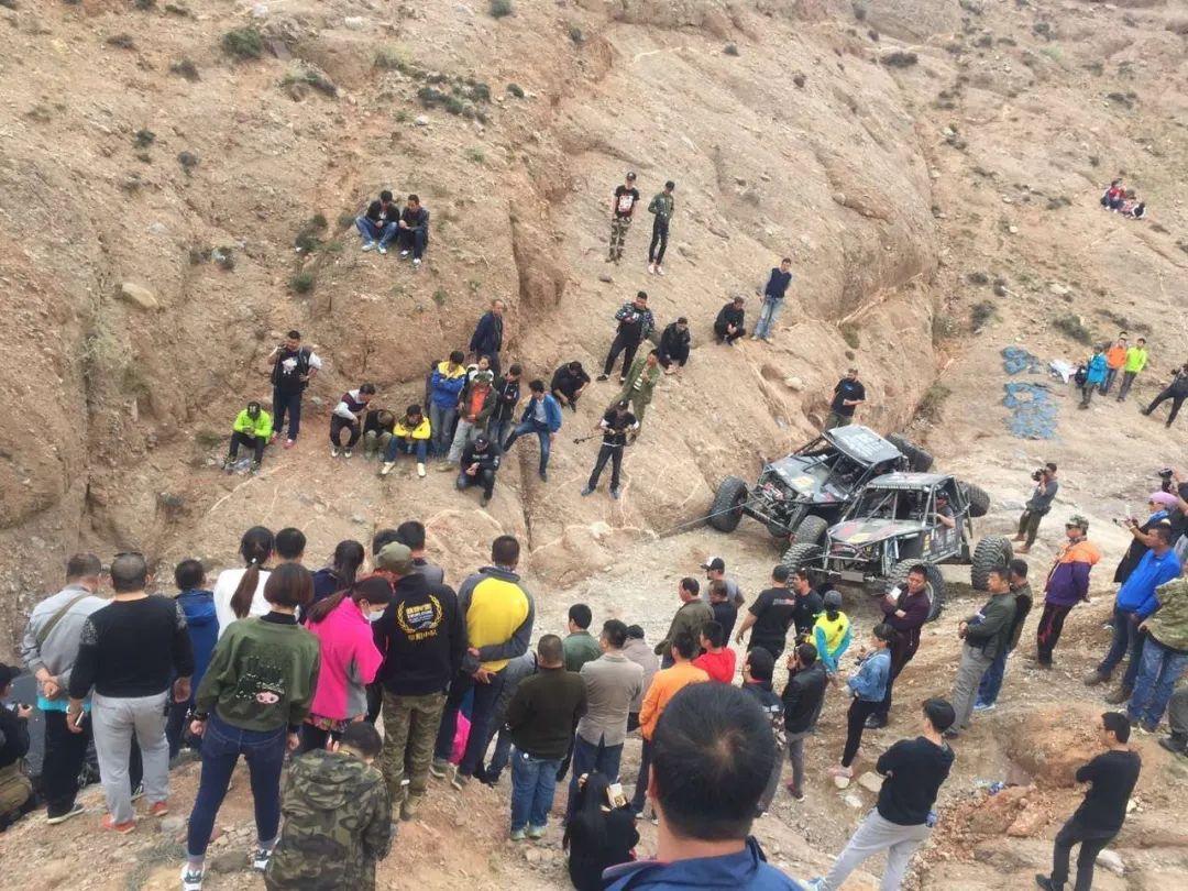 safari是什么意思(jeep safari是什么意思)