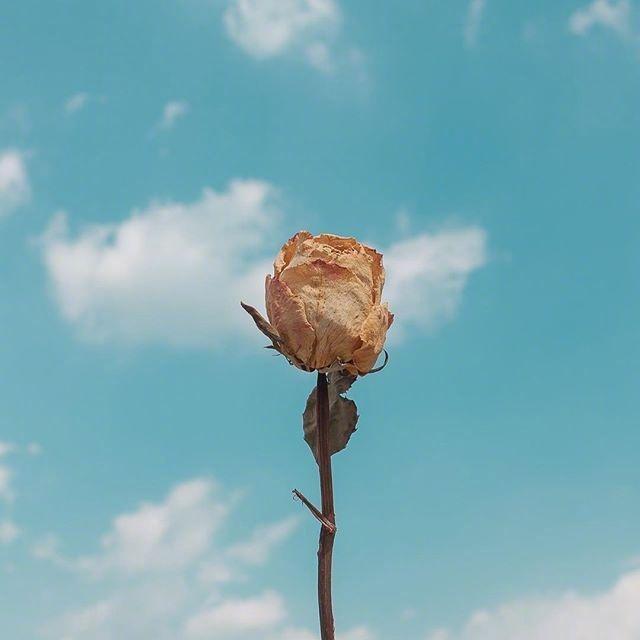 早安短句正能量一句话:早安问候语精选「38句推荐」