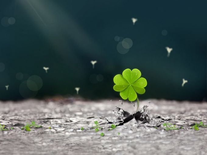 四爱是什么意思(懂得“四爱”才算真正爱自己)