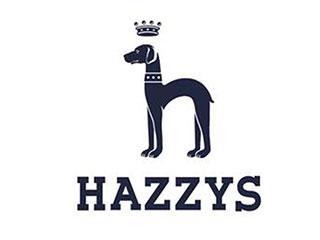 hazzys是什么牌子(hazzys是中国品牌么)