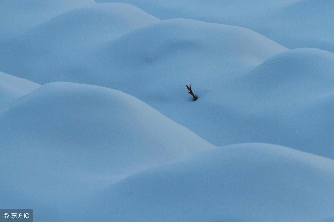 中国最冷的地方是什么地方(中国最冷的地方是什么地方排名)