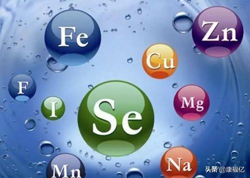 菊粉是什么功效与作用(益生菌菊粉是什么功效与作用)