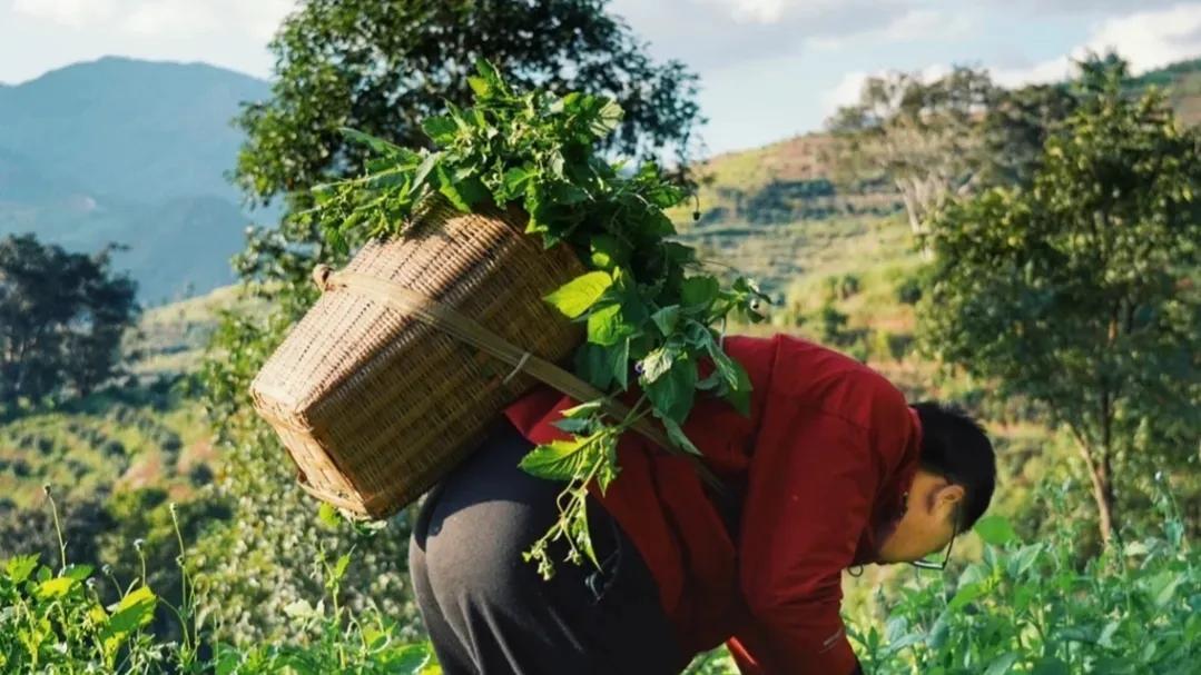 什么行业前景好最赚钱(这4个赚钱行业利润丰厚)