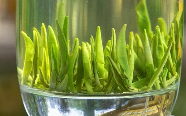 竹叶青是什么茶(青城山竹叶青是什么茶)