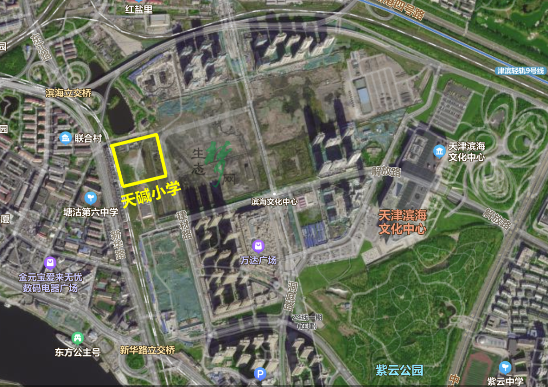 华东师范大学附属学校(华东师范大学附属学校有哪些)