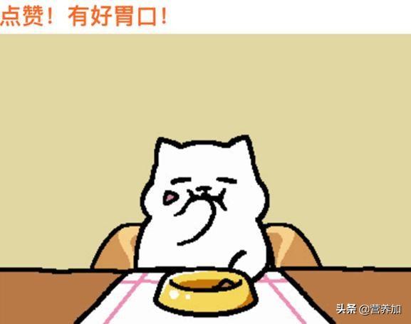 番茄沙司做面条的方法(番茄沙司怎么做面条)