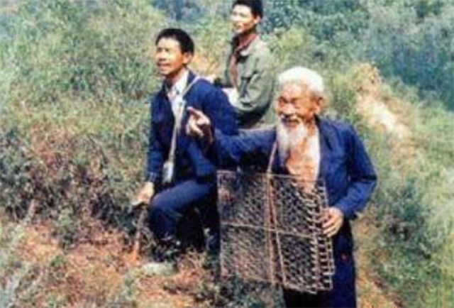 昔有佳人公孙氏下一句(昔有佳人公孙氏打一动物)