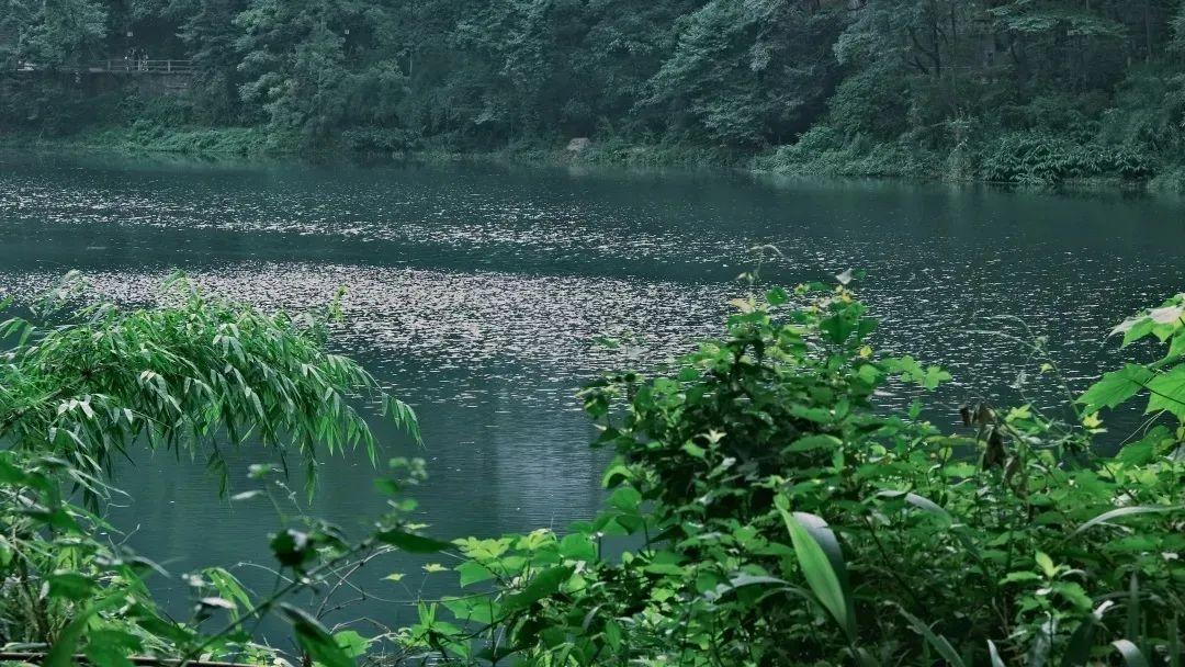 你必须要知道的——“峨眉山”