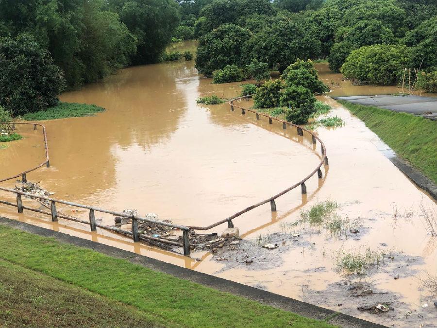 广东气象公众网(广东气象信息网)