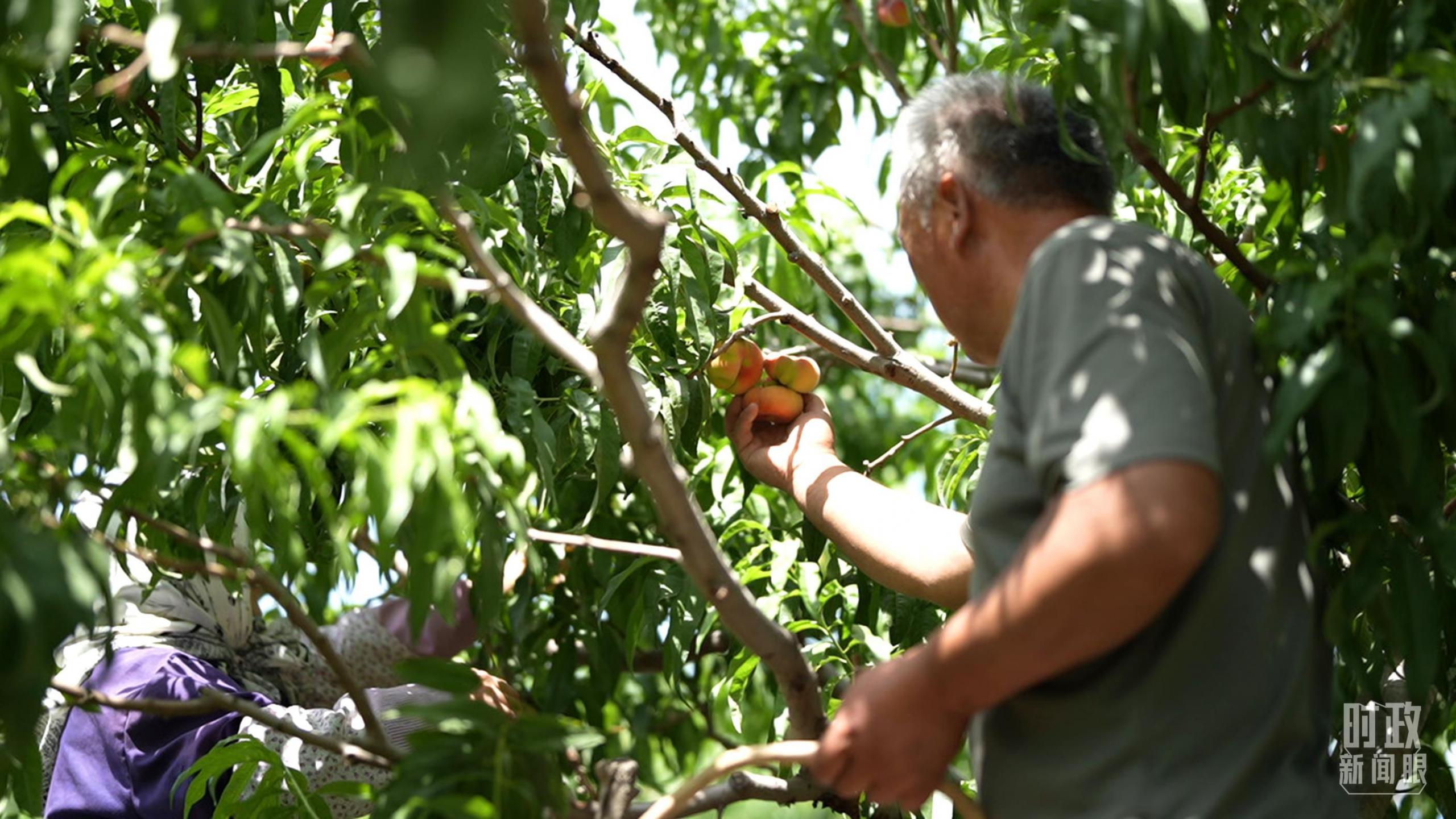 时政新闻眼丨从四个关键词,看习近平总书记新疆之行