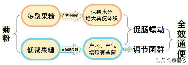 菊粉是什么功效与作用(益生菌菊粉是什么功效与作用)