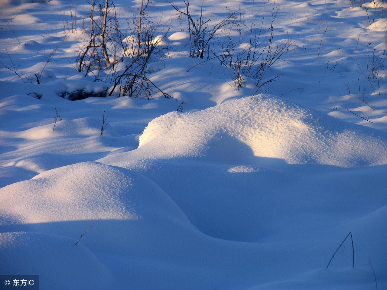 中国最冷的地方是什么地方(中国最冷的地方是什么地方排名)