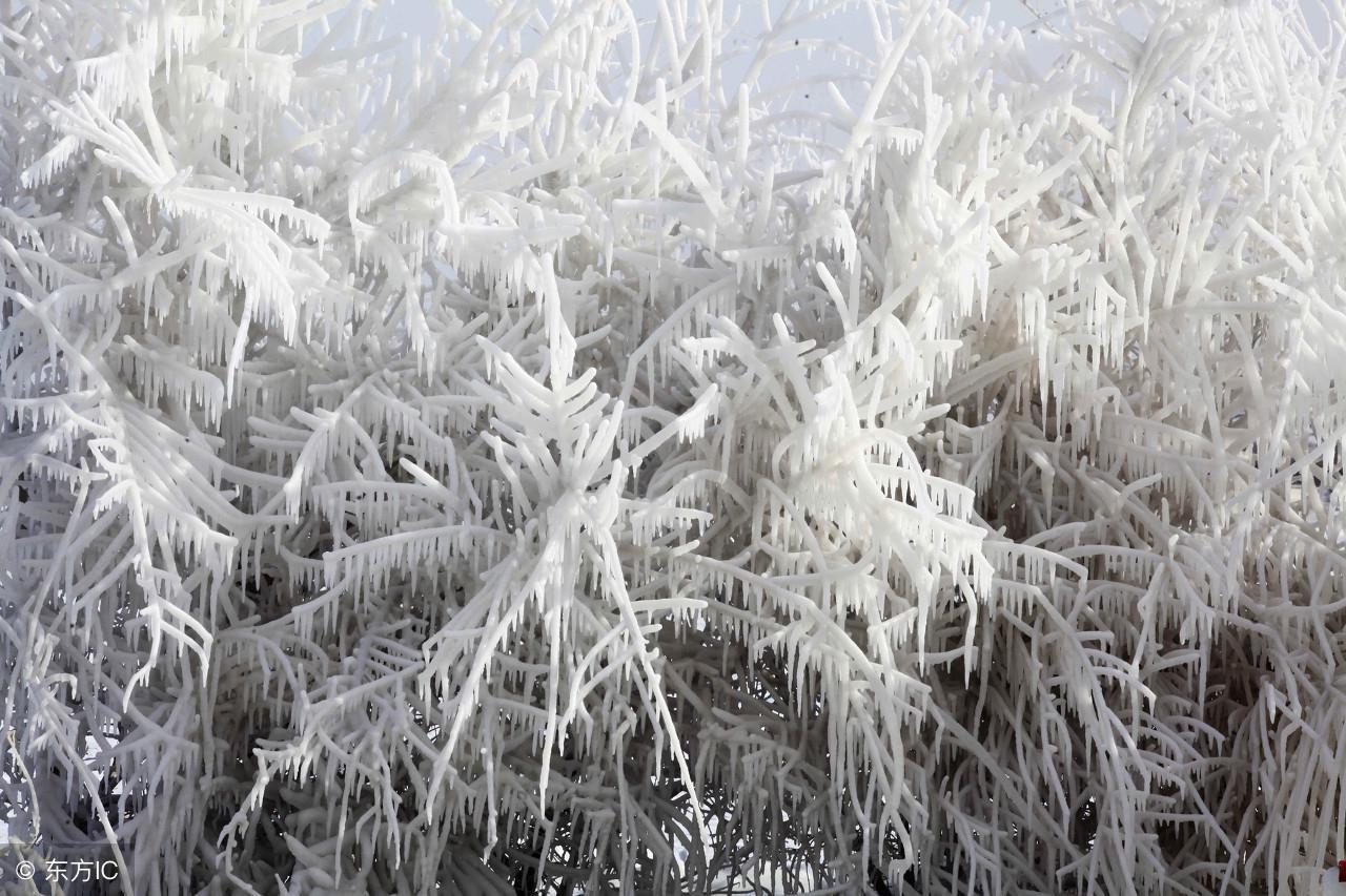 中国最冷的地方是什么地方(中国最冷的地方是什么地方排名)