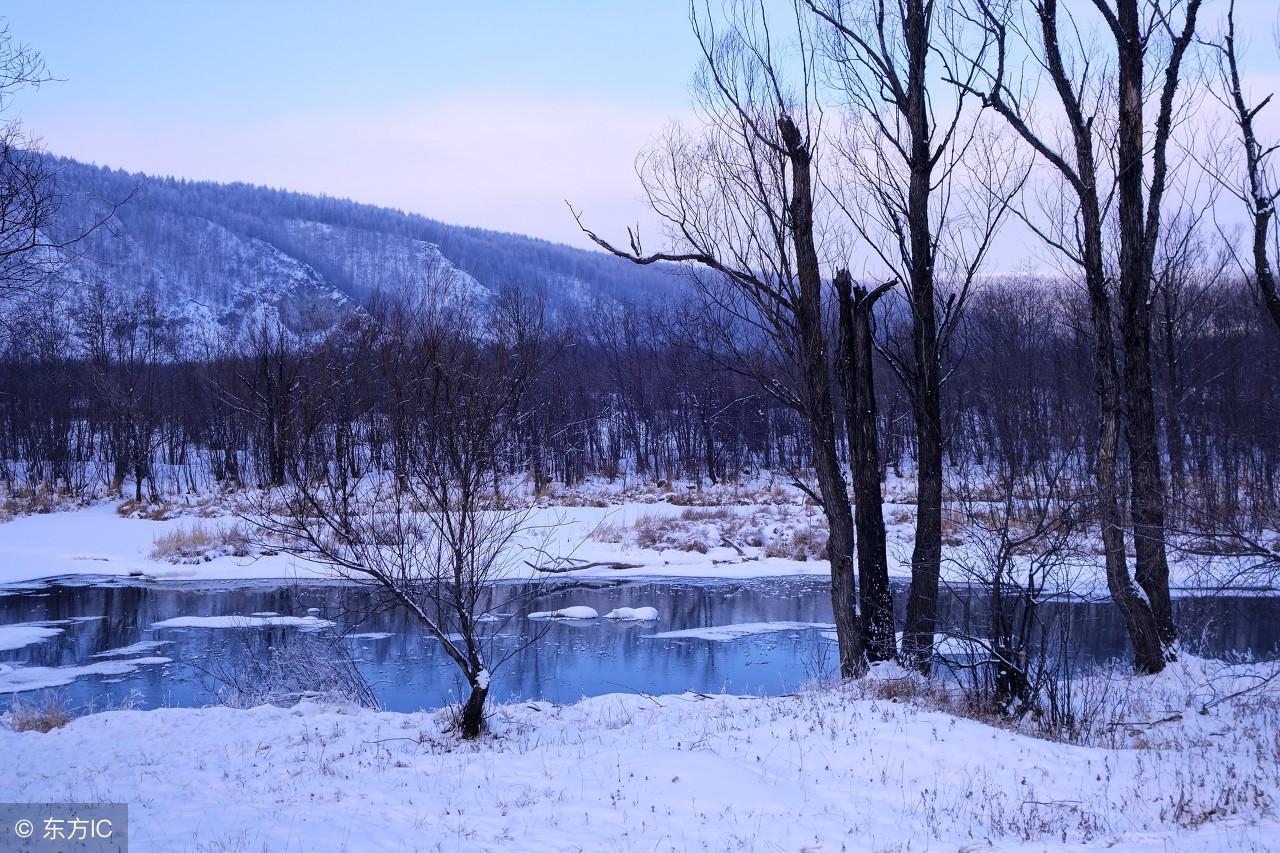 中国最冷的地方是什么地方(中国最冷的地方是什么地方排名)