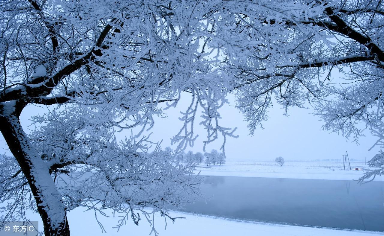 中国最冷的地方是什么地方(中国最冷的地方是什么地方排名)