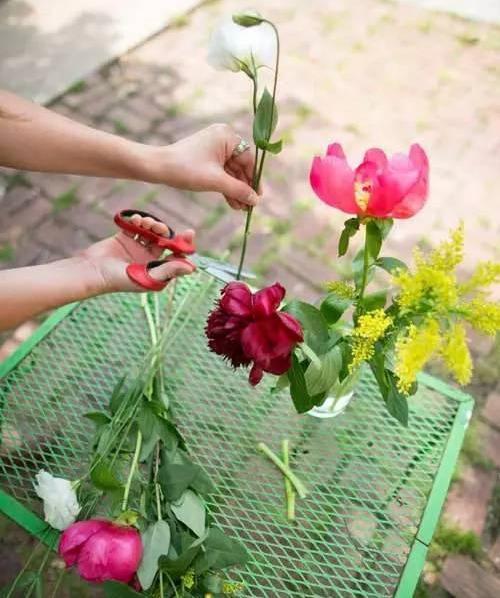 鲜切花如何延长花期(为了延长鲜花的保鲜期剪花枝时怎么做效果会更好?)