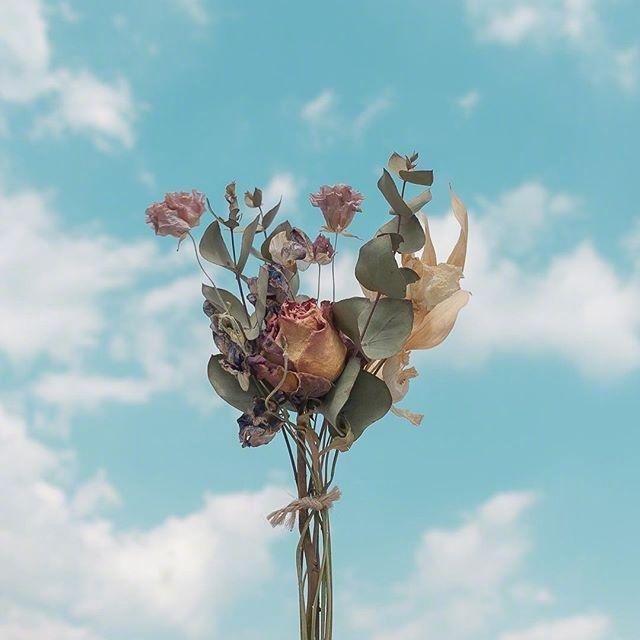 早安短句正能量一句话:早安问候语精选「38句推荐」