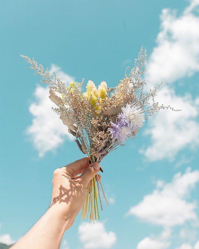 早安短句正能量一句话:早安问候语精选「38句推荐」