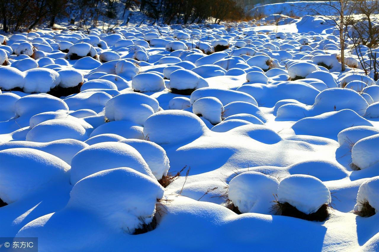 中国最冷的地方是什么地方(中国最冷的地方是什么地方排名)