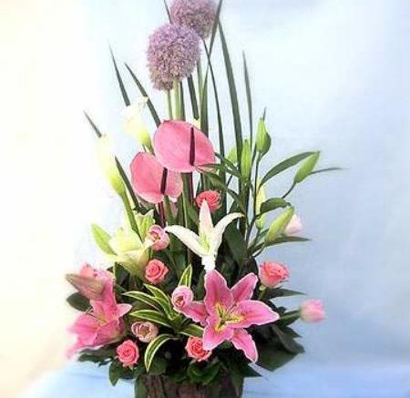 鲜切花如何延长花期(为了延长鲜花的保鲜期剪花枝时怎么做效果会更好?)